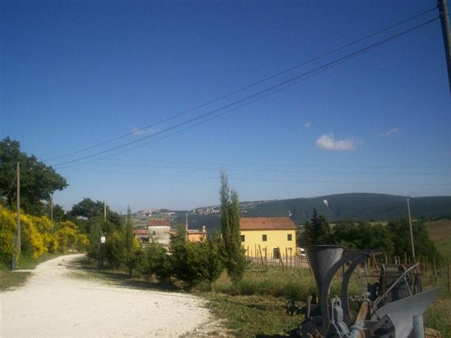 Vai alla scheda